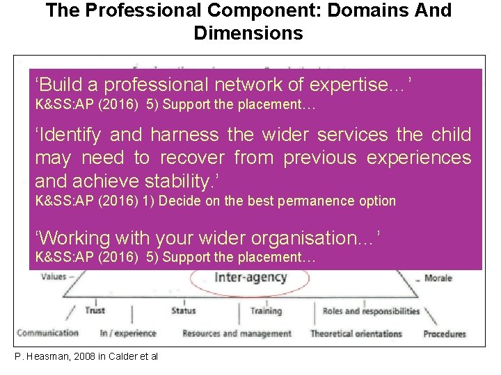 The Professional Component: Domains And Dimensions ‘Build a professional network of expertise…’ K&SS: AP