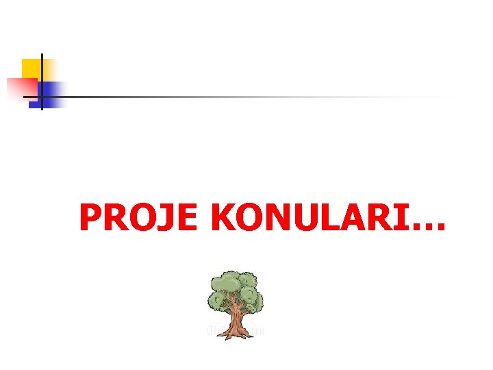 PROJE KONULARI… 