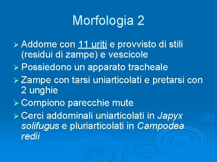 Morfologia 2 Ø Addome con 11 uriti e provvisto di stili (residui di zampe)
