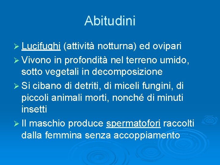 Abitudini Ø Lucifughi (attività notturna) ed ovipari Ø Vivono in profondità nel terreno umido,