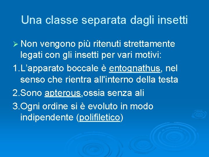Una classe separata dagli insetti Ø Non vengono più ritenuti strettamente legati con gli