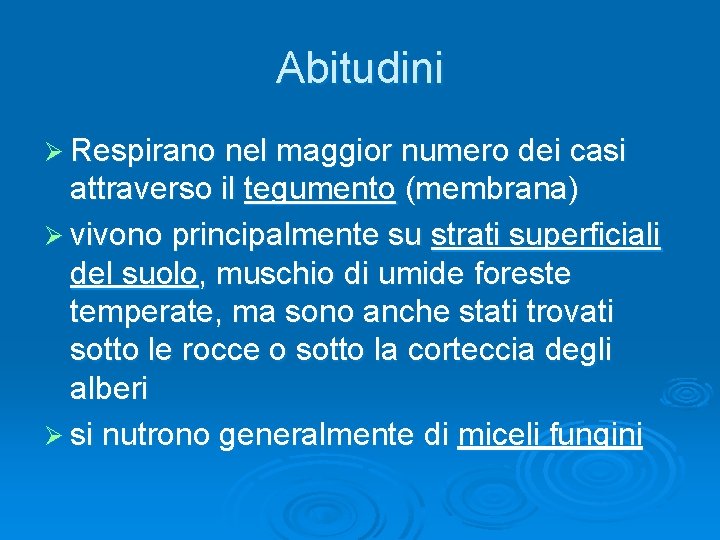 Abitudini Ø Respirano nel maggior numero dei casi attraverso il tegumento (membrana) Ø vivono