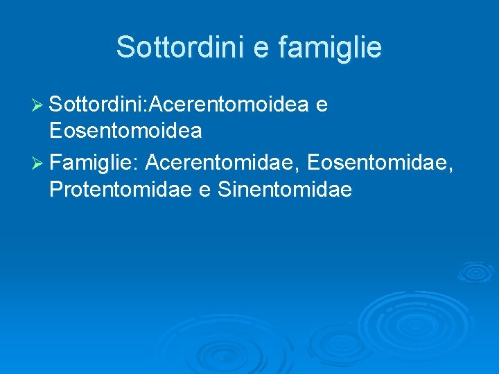 Sottordini e famiglie Ø Sottordini: Acerentomoidea e Eosentomoidea Ø Famiglie: Acerentomidae, Eosentomidae, Protentomidae e