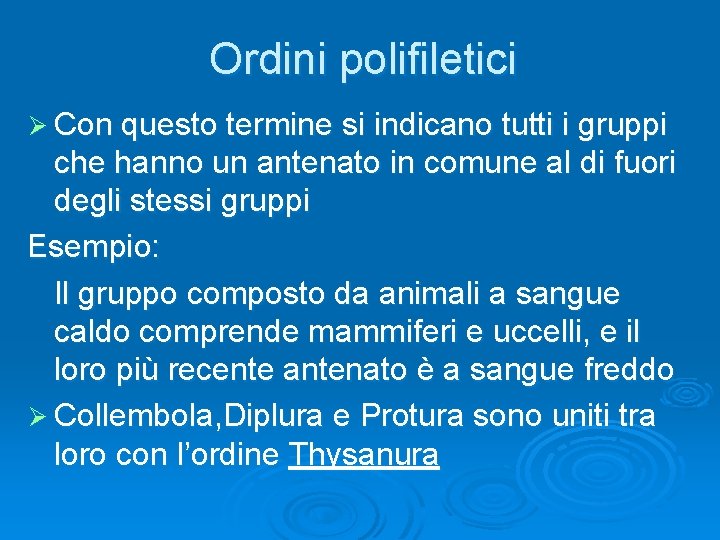 Ordini polifiletici Ø Con questo termine si indicano tutti i gruppi che hanno un
