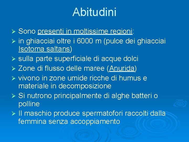 Abitudini Sono presenti in moltissime regioni: Ø in ghiacciai oltre i 6000 m (pulce