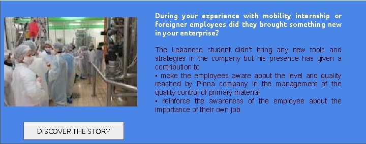During your experience with mobility internship or foreigner employees did they brought something new
