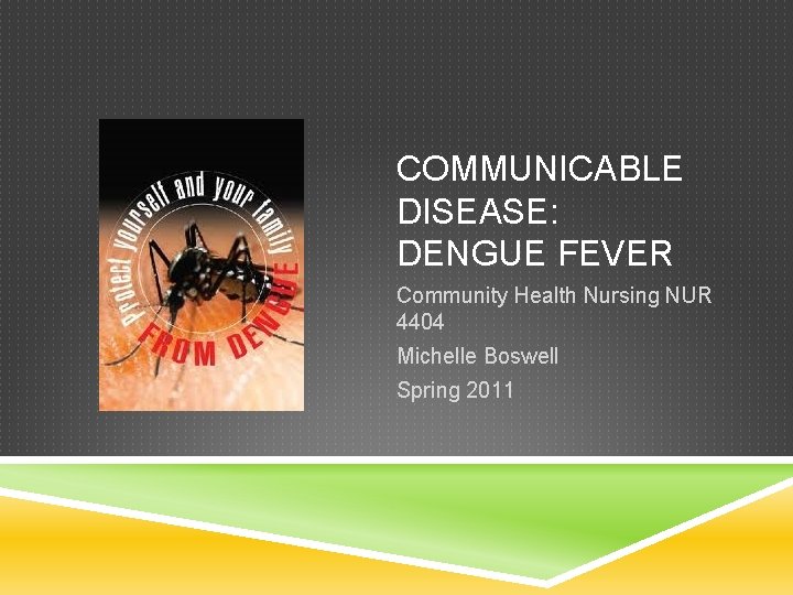 COMMUNICABLE DISEASE: DENGUE FEVER Community Health Nursing NUR 4404 Michelle Boswell Spring 2011 