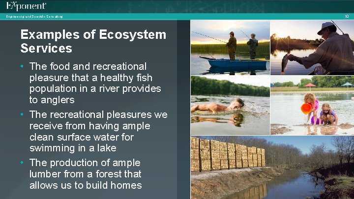 Engineering and Scientific Consulting Examples of Ecosystem Services • The food and recreational pleasure