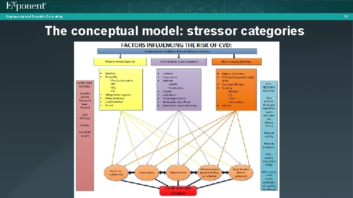 Engineering and Scientific Consulting The conceptual model: stressor categories 14 