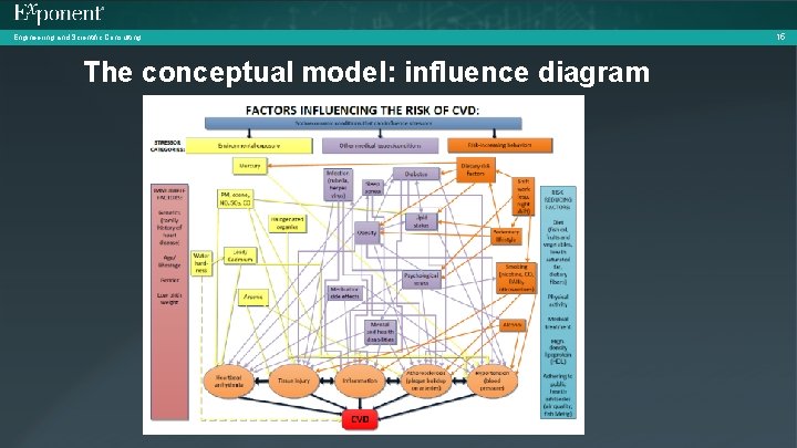 Engineering and Scientific Consulting The conceptual model: influence diagram 15 