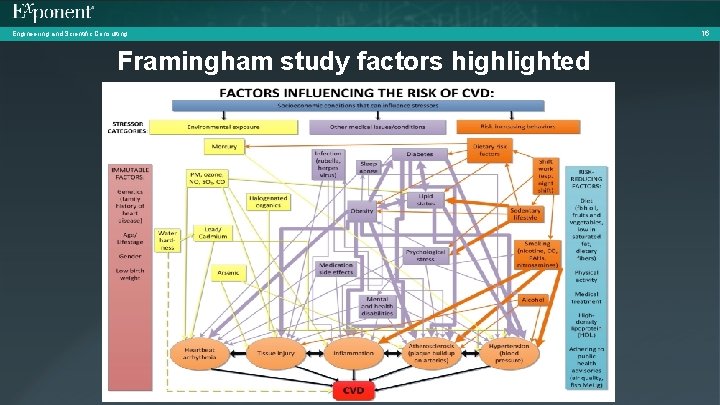 Engineering and Scientific Consulting Framingham study factors highlighted 16 