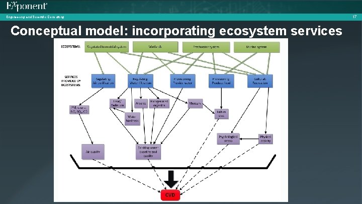 Engineering and Scientific Consulting Conceptual model: incorporating ecosystem services 17 