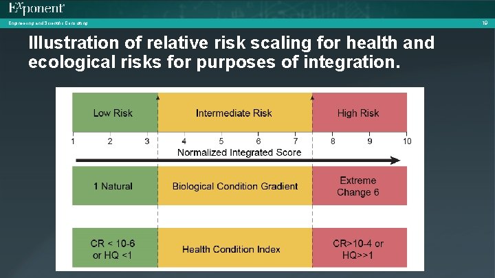 Engineering and Scientific Consulting Illustration of relative risk scaling for health and ecological risks