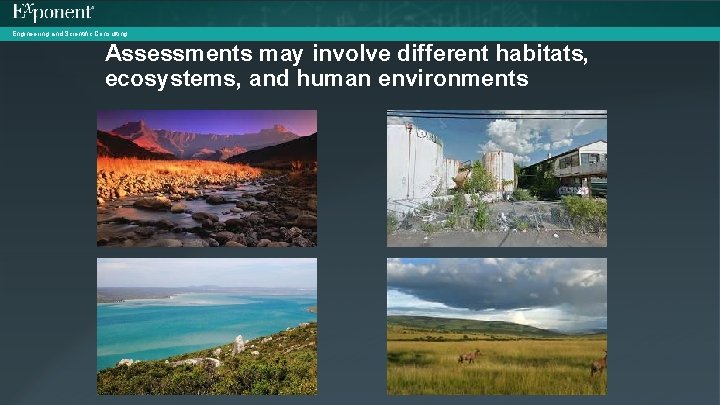 Engineering and Scientific Consulting Assessments may involve different habitats, ecosystems, and human environments 