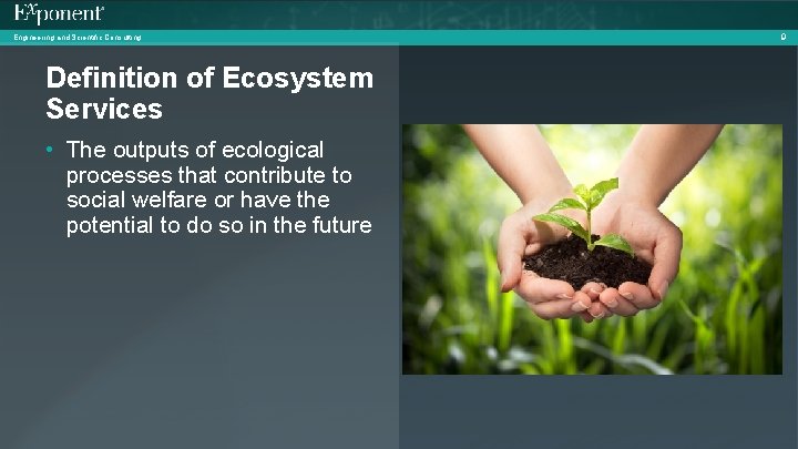 Engineering and Scientific Consulting Definition of Ecosystem Services • The outputs of ecological processes