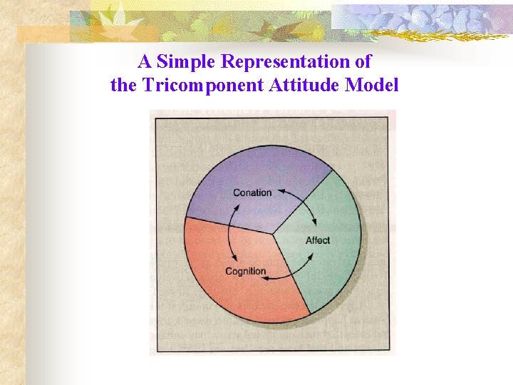 A Simple Representation of the Tricomponent Attitude Model 