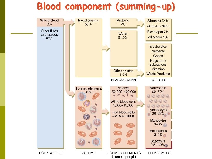 Chapter 3 BLOOD PHYSIOLOGY What will we discuss