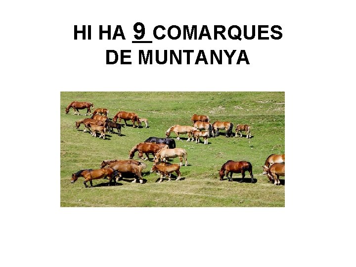 HI HA 9 COMARQUES DE MUNTANYA 