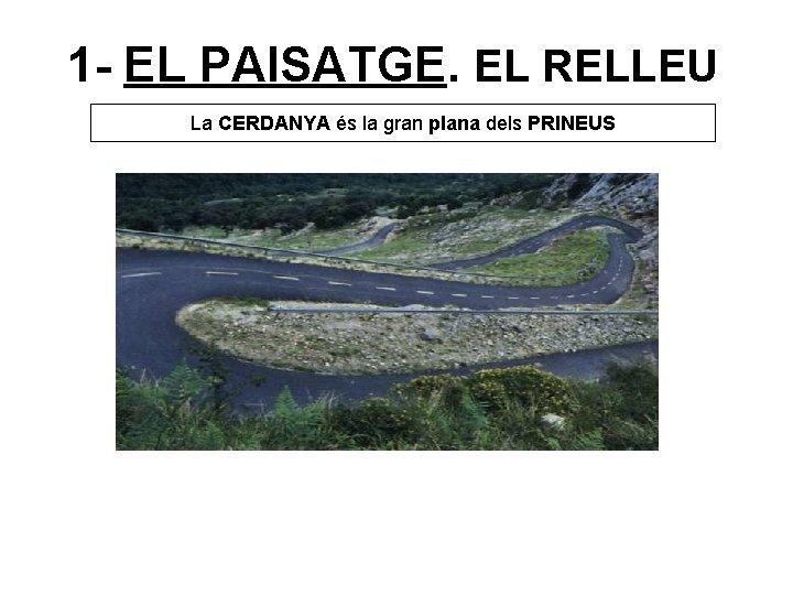 1 - EL PAISATGE. EL RELLEU La CERDANYA és la gran plana dels PRINEUS