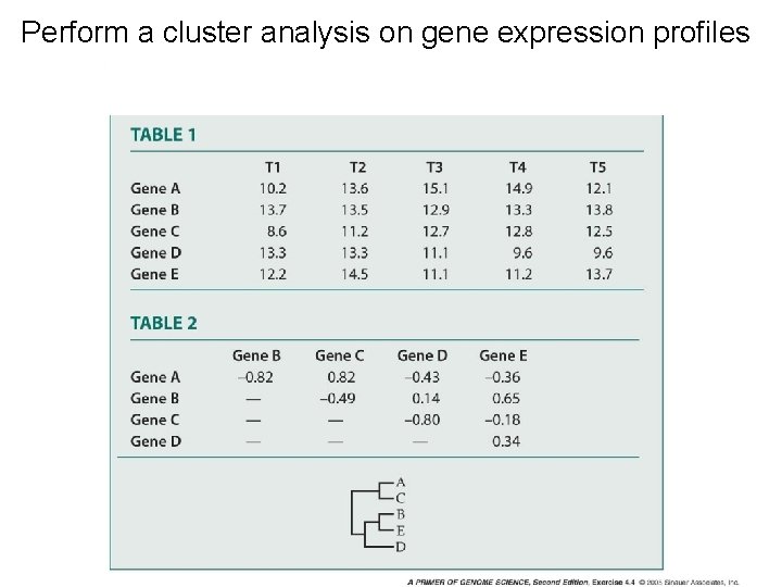 Perform a cluster analysis on gene expression profiles 