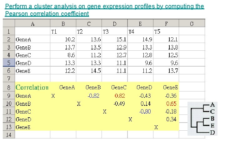 Perform a cluster analysis on gene expression profiles by computing the Pearson correlation coefficient