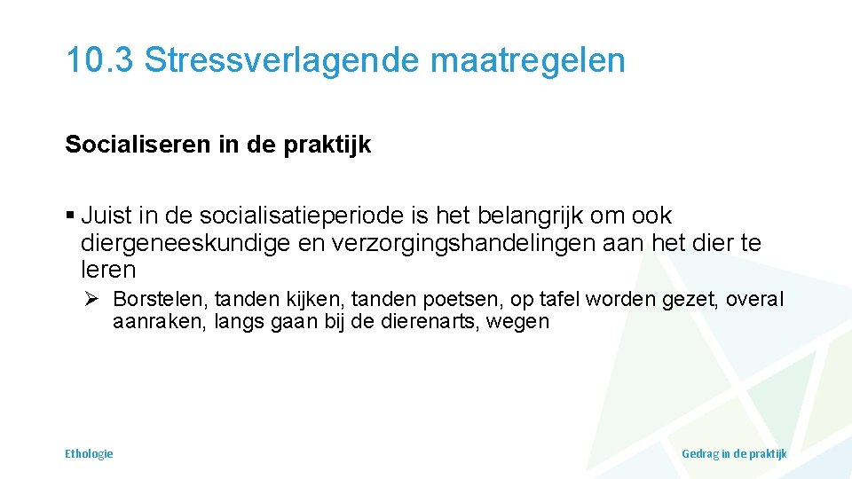 10. 3 Stressverlagende maatregelen Socialiseren in de praktijk § Juist in de socialisatieperiode is