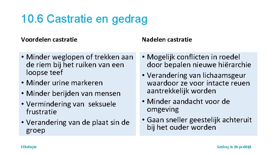 10. 6 Castratie en gedrag Voordelen castratie Nadelen castratie • Minder weglopen of trekken