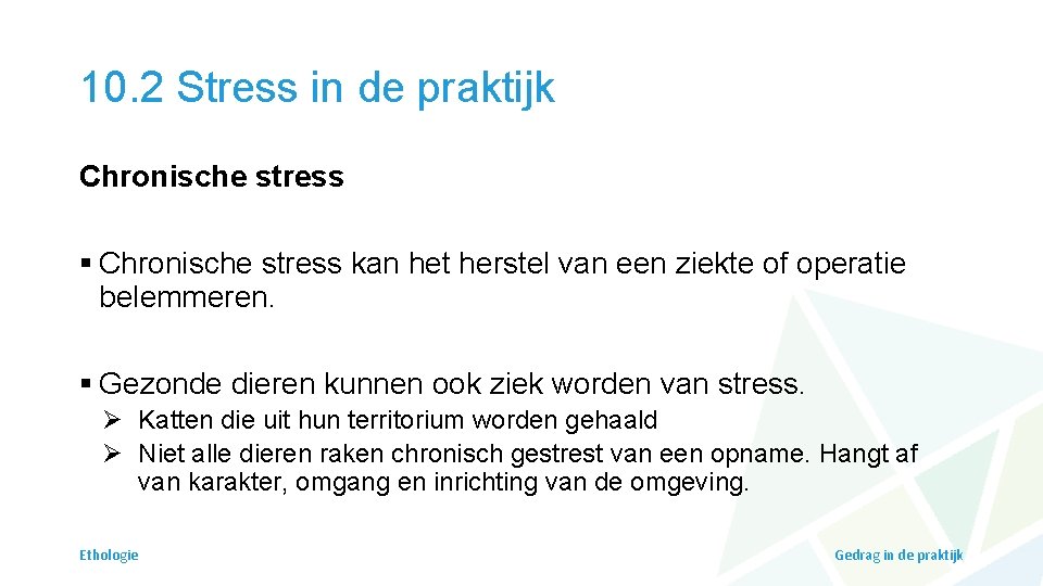 10. 2 Stress in de praktijk Chronische stress § Chronische stress kan het herstel