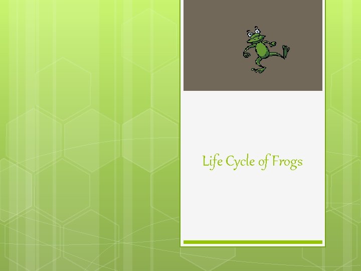 Life Cycle of Frogs 