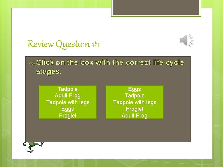 Review Question #1 Click on the box with the correct life cycle stages. Tadpole