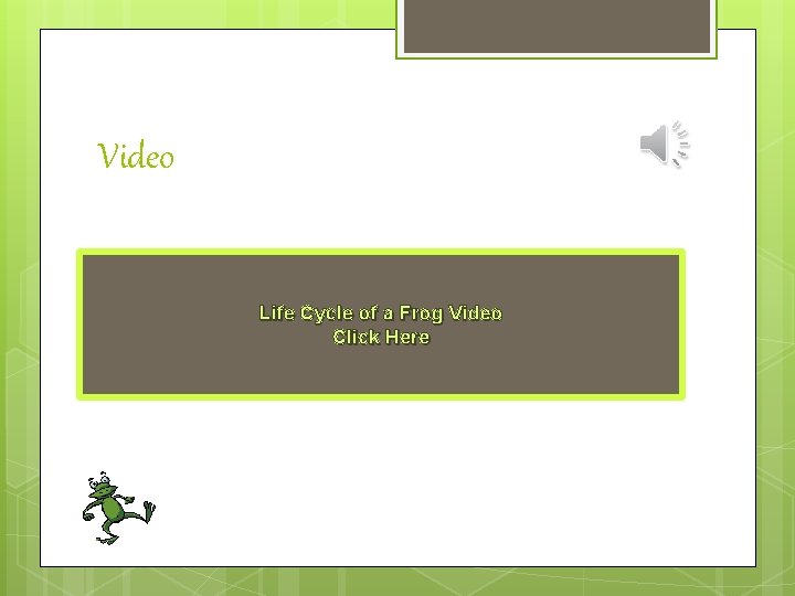 Video Life Cycle of a Frog Video Click Here 