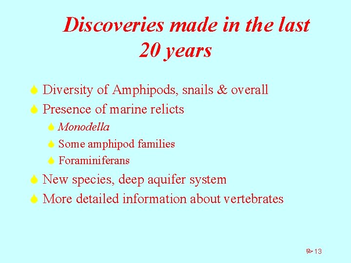 Discoveries made in the last 20 years S Diversity of Amphipods, snails & overall