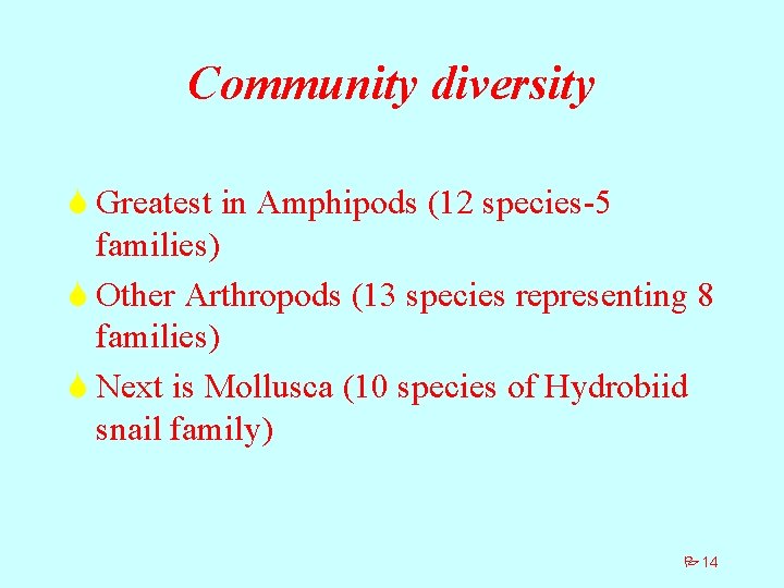 Community diversity S Greatest in Amphipods (12 species-5 families) S Other Arthropods (13 species