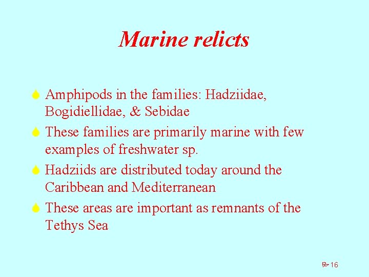 Marine relicts S Amphipods in the families: Hadziidae, Bogidiellidae, & Sebidae S These families