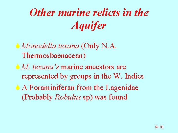 Other marine relicts in the Aquifer S Monodella texana (Only N. A. Thermosbaenacean) S