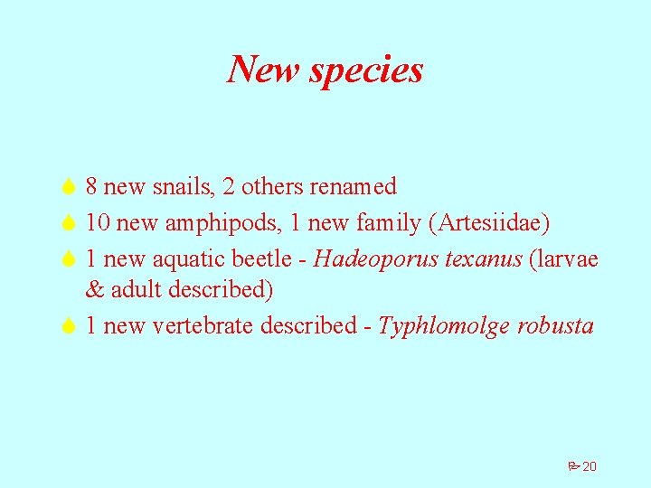 New species S 8 new snails, 2 others renamed S 10 new amphipods, 1
