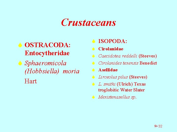 Crustaceans S OSTRACODA: Entocytheridae S Sphaeromicola (Hobbsiella) moria Hart S ISOPODA: S S S