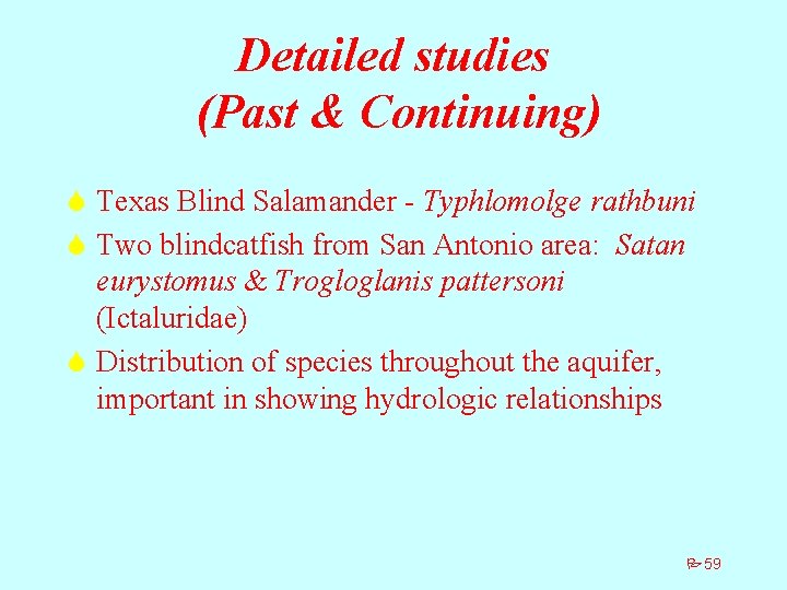 Detailed studies (Past & Continuing) S Texas Blind Salamander - Typhlomolge rathbuni S Two