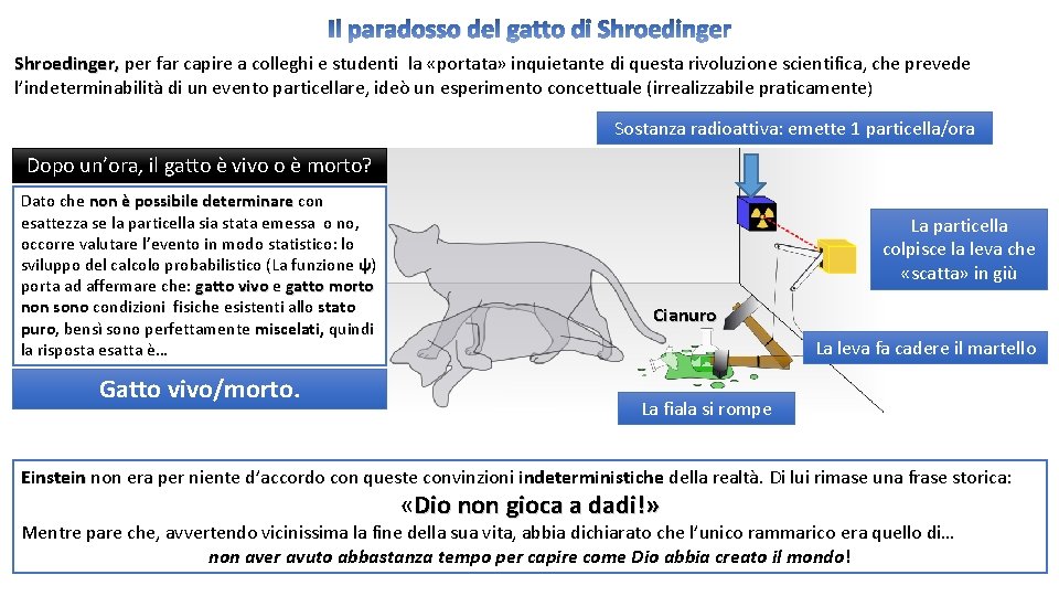 Il paradosso del gatto di Shroedinger, per far capire a colleghi e studenti la