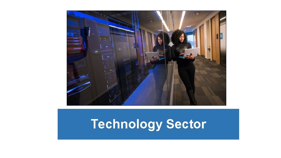 Technology Sector 