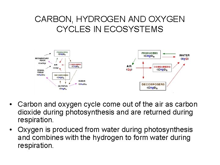 CARBON, HYDROGEN AND OXYGEN CYCLES IN ECOSYSTEMS • Carbon and oxygen cycle come out