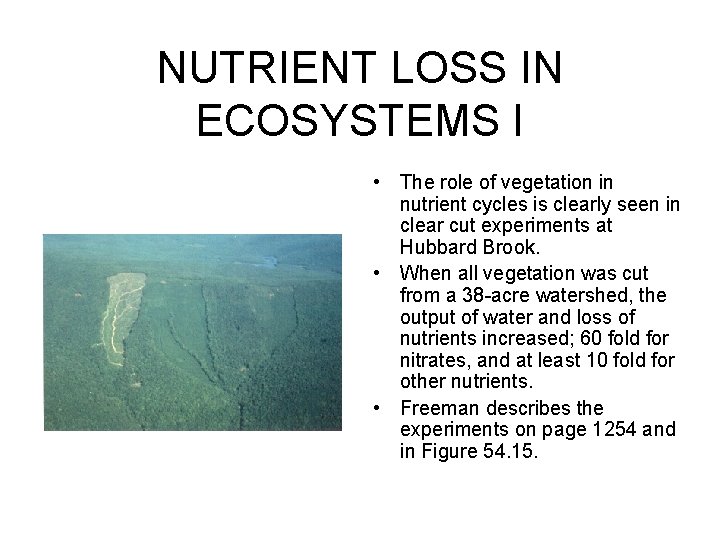 NUTRIENT LOSS IN ECOSYSTEMS I • The role of vegetation in nutrient cycles is