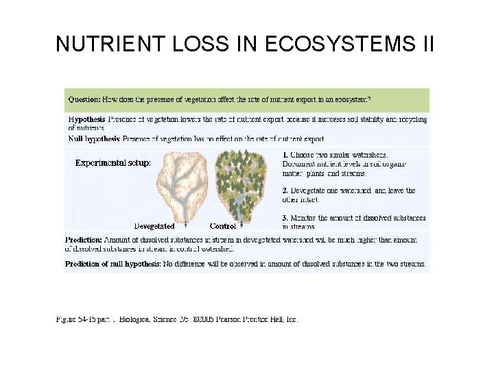 NUTRIENT LOSS IN ECOSYSTEMS II 