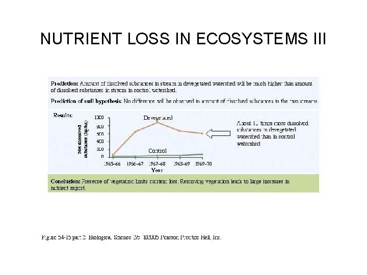 NUTRIENT LOSS IN ECOSYSTEMS III 