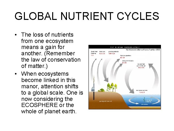 GLOBAL NUTRIENT CYCLES • The loss of nutrients from one ecosystem means a gain