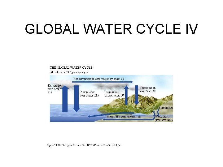 GLOBAL WATER CYCLE IV 
