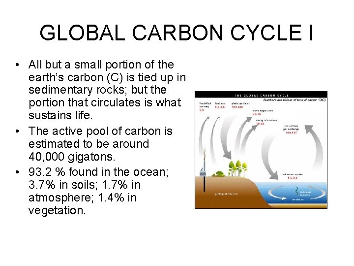 GLOBAL CARBON CYCLE I • All but a small portion of the earth’s carbon
