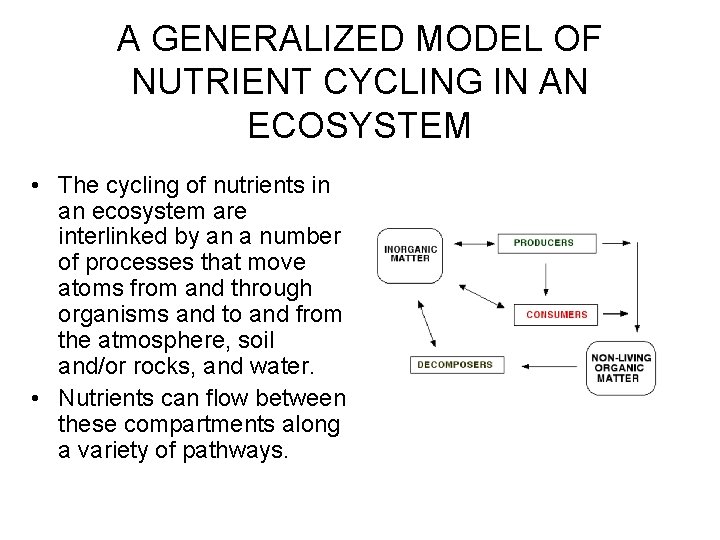 A GENERALIZED MODEL OF NUTRIENT CYCLING IN AN ECOSYSTEM • The cycling of nutrients