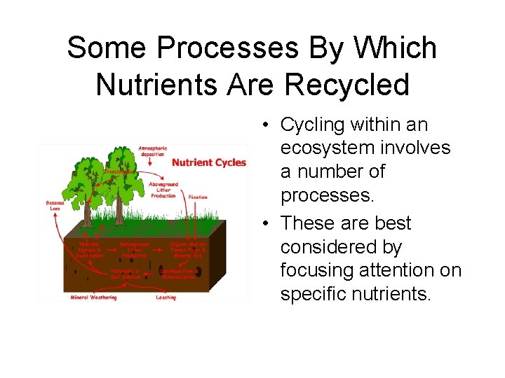 Some Processes By Which Nutrients Are Recycled • Cycling within an ecosystem involves a