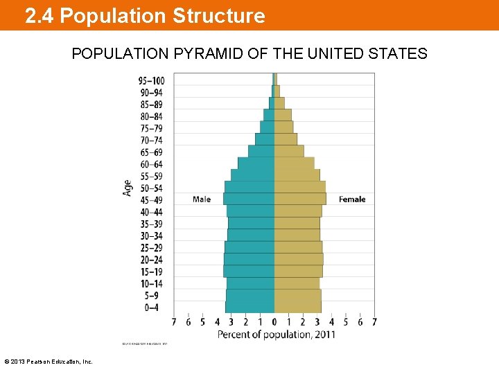 2. 4 Population Structure POPULATION PYRAMID OF THE UNITED STATES © 2013 Pearson Education,